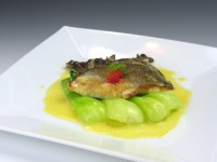 �}�i�K�c�I�̃|�����@�}�C�^�P�Y��